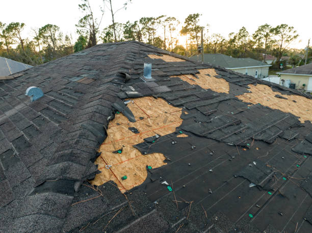 Best Chimney Flashing Repair  in Plano, IL